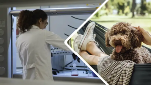 Klantcase United Petfood Nederland Alu BV en GOsensit