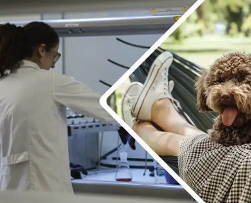 Klantcase United Petfood Nederland Alu BV en GOsensit