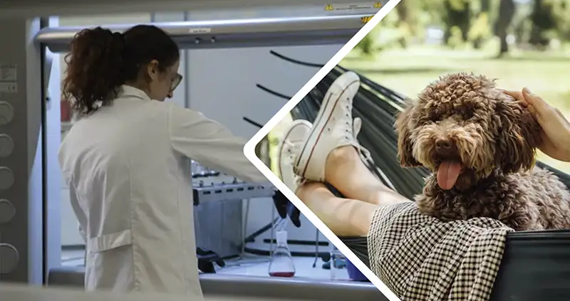 Klantcase United Petfood Nederland Alu BV en GOsensit